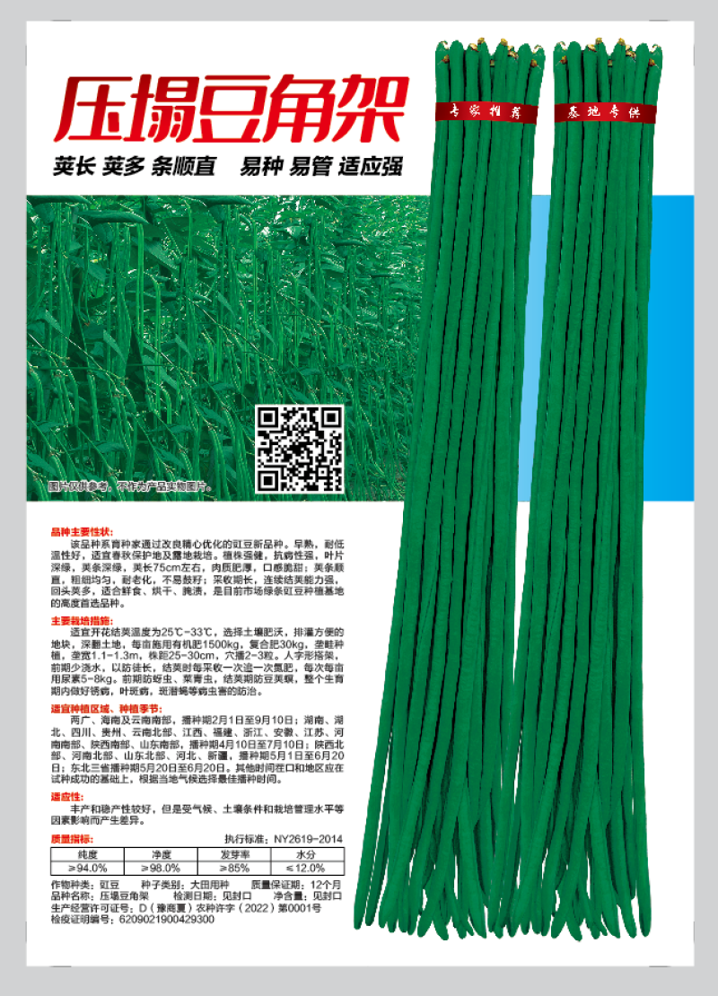 热卖架无架豆角结的多绿金条绿状元豆角种子条形顺直肉厚嚼劲