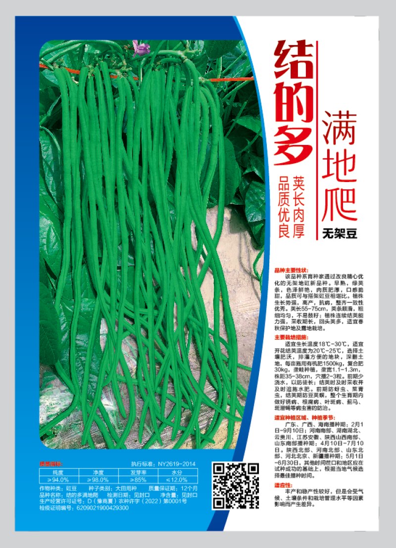 热卖架无架豆角结的多绿金条绿状元豆角种子条形顺直肉厚嚼劲