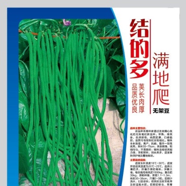 热卖架无架豆角结的多绿金条绿状元豆角种子条形顺直肉厚嚼劲