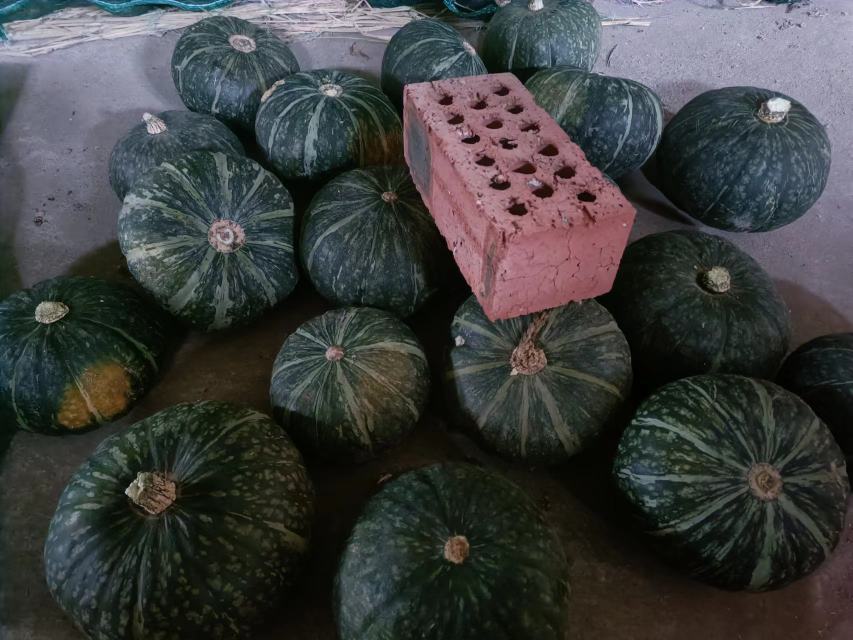 蒸土豆与烤土豆对比图