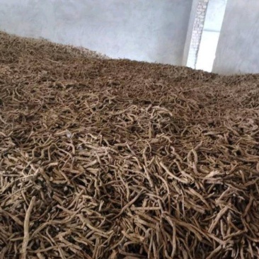 牡丹皮200吨，抽筋率70%
