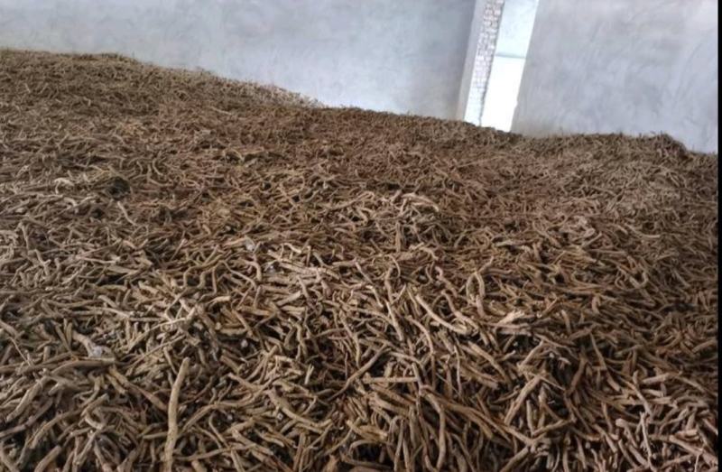 牡丹皮200吨，抽筋率70%