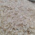 特级高钙淡干虾皮水产干货补钙虾米新鲜无盐即食