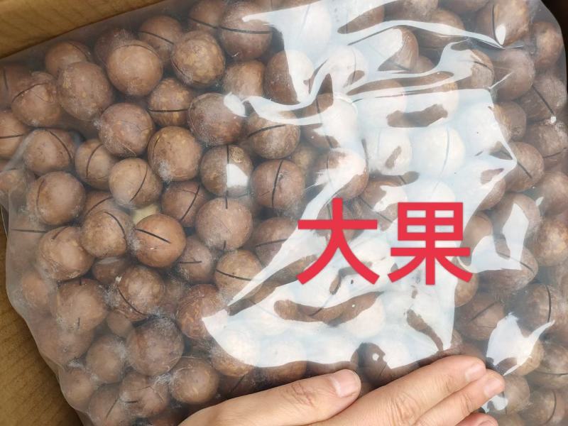 新货夏威夷果批发一手货源电商超市