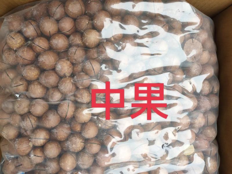 新货夏威夷果批发一手货源电商超市