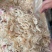 特级高钙淡干虾皮水产干货补钙虾米新鲜无盐即食