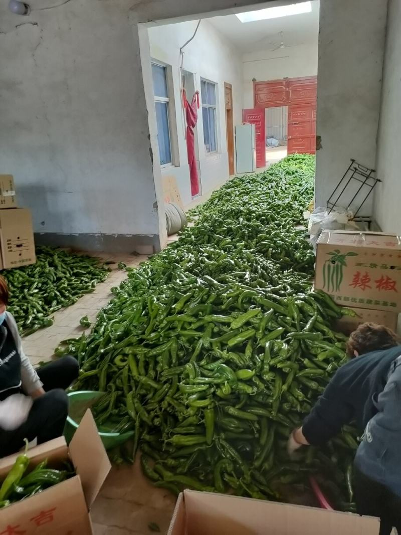 新鲜蔬菜，二炮