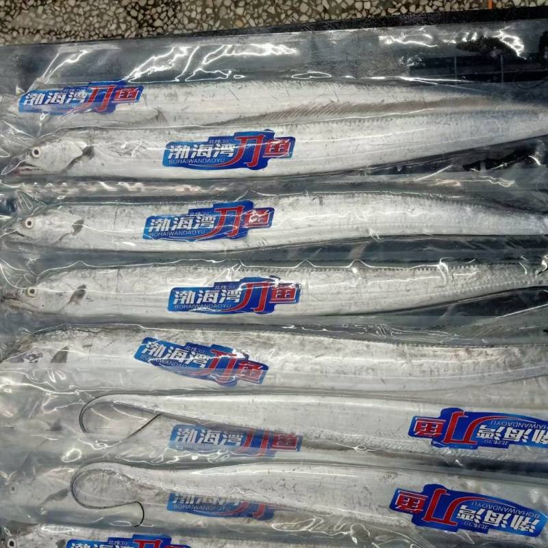 正宗北方油带鱼现在正是捕捞带鱼的时候鲜冻不如行动