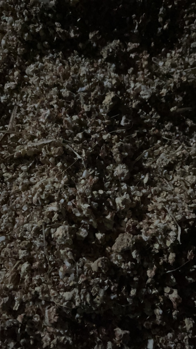 玉米芯颗粒