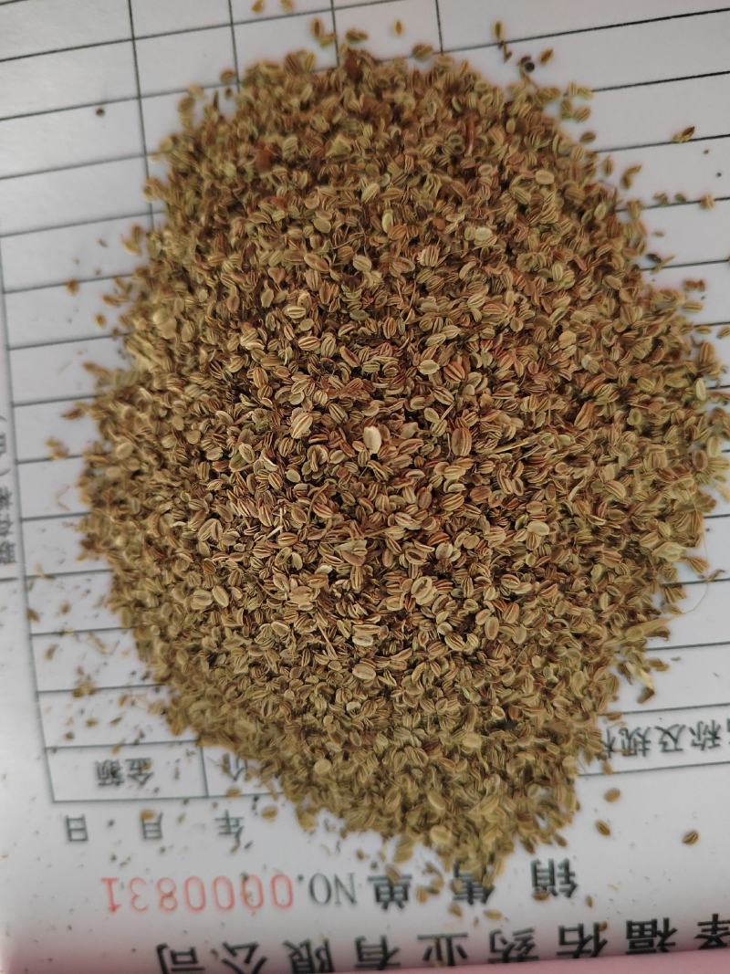 蛇床子，蛇床籽，干净无杂，大货批发，今年新货，纯干无硫
