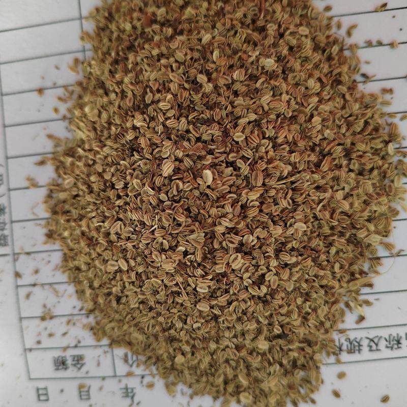 蛇床子，蛇床籽，干净无杂，大货批发，今年新货，纯干无硫