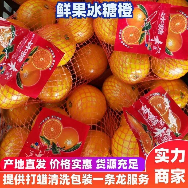 脐橙青果催红果各种规格承接各大平台市场一件代发