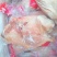 半片鸭