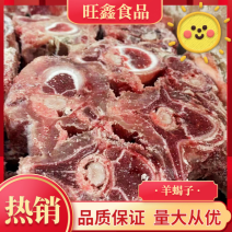 多肉羊蝎子，厂家直发，一手货源，品质保障。。