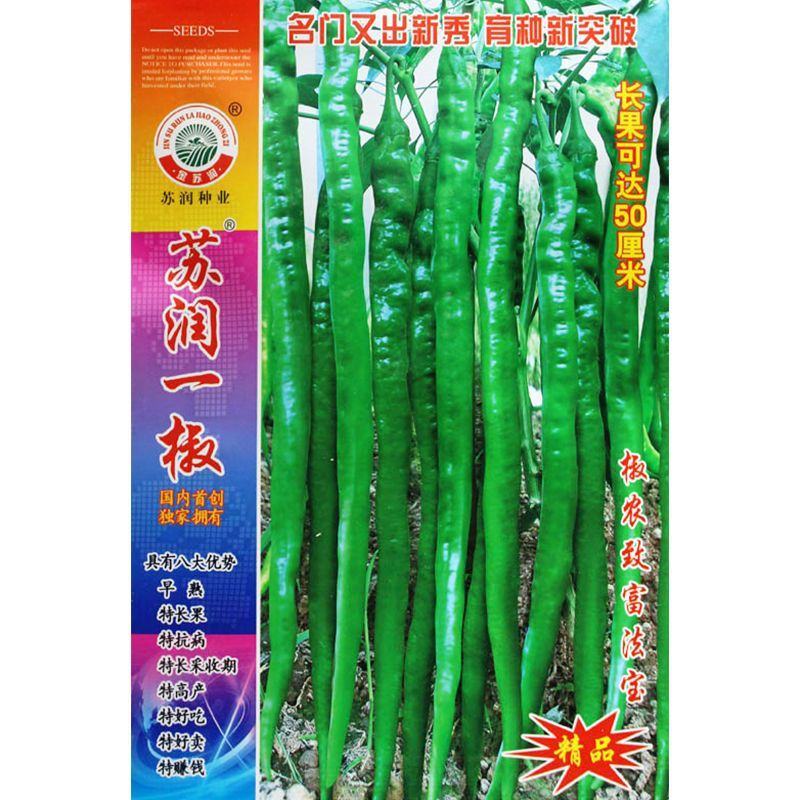 苏润一椒辣椒种子