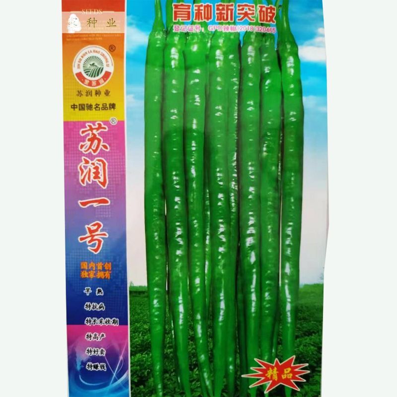 苏润一椒辣椒种子
