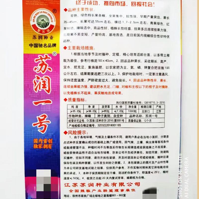 苏润一椒辣椒种子