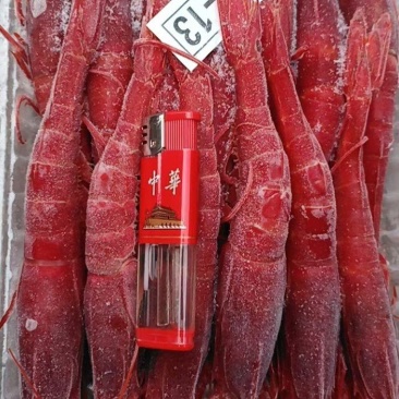 红魔虾，深海船上速冻，肉质鲜甜质量好欢迎下单