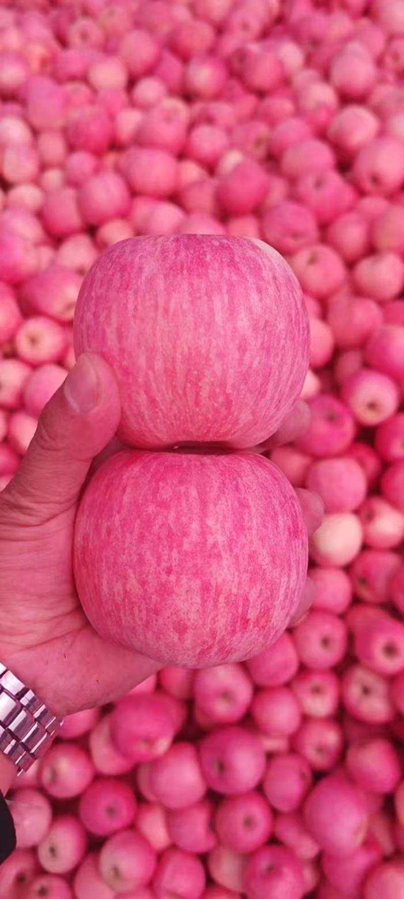 红富士苹果产地批发一手货源，口感脆甜，品种齐全。
