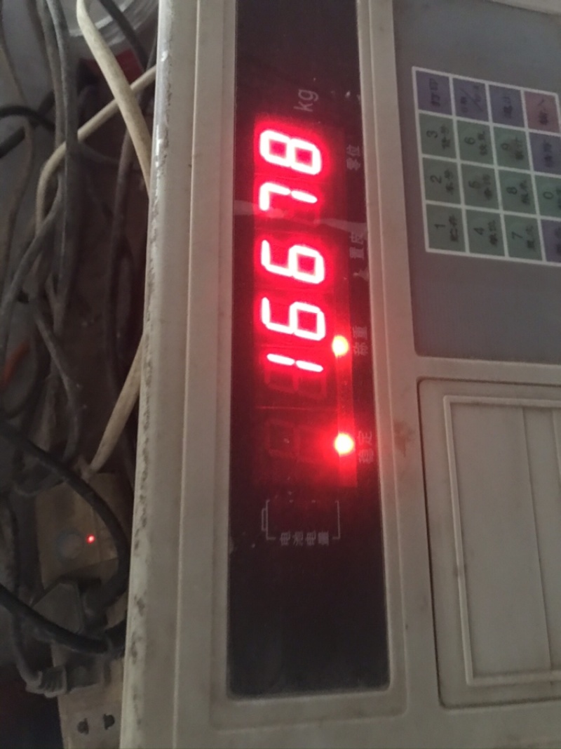 寿光专业代收代发大红西红柿