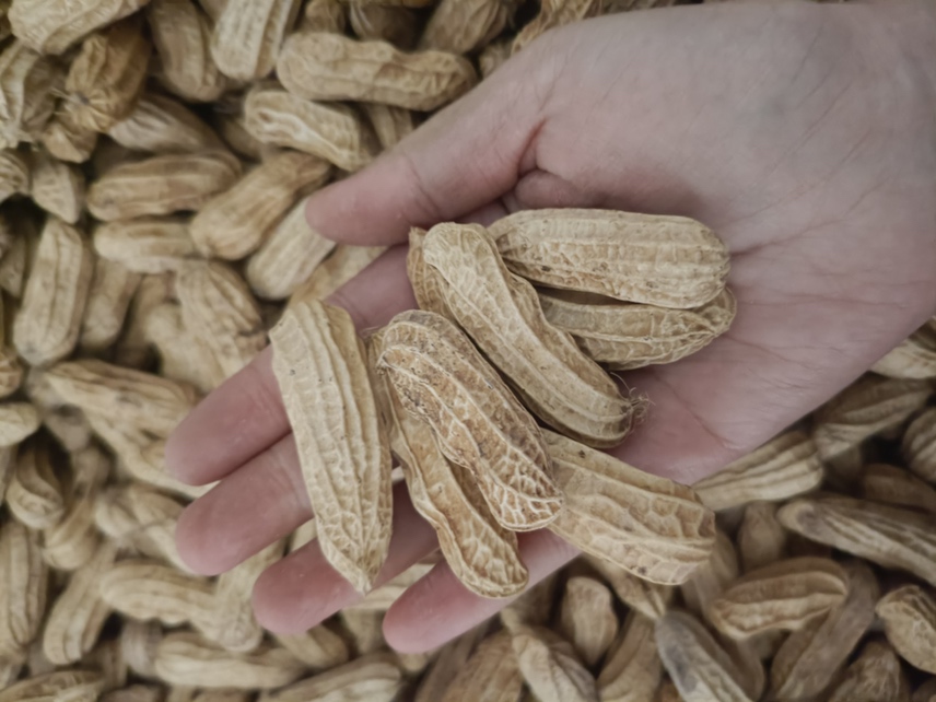 五香花生成品展示