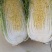 山东黄心大白菜，精品白菜，颗颗芯满，芯实叶薄！产地货源！