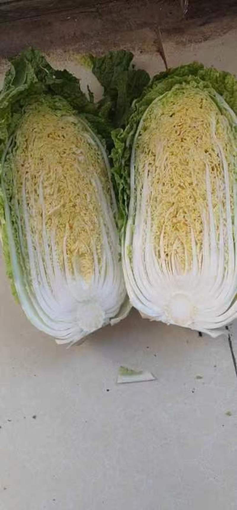 山东黄心大白菜，精品白菜，颗颗芯满，芯实叶薄！产地货源！