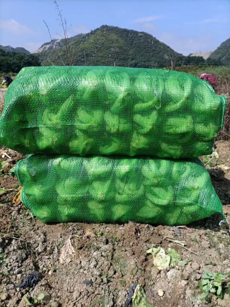 加工诚邀批发商加工厂平台合作