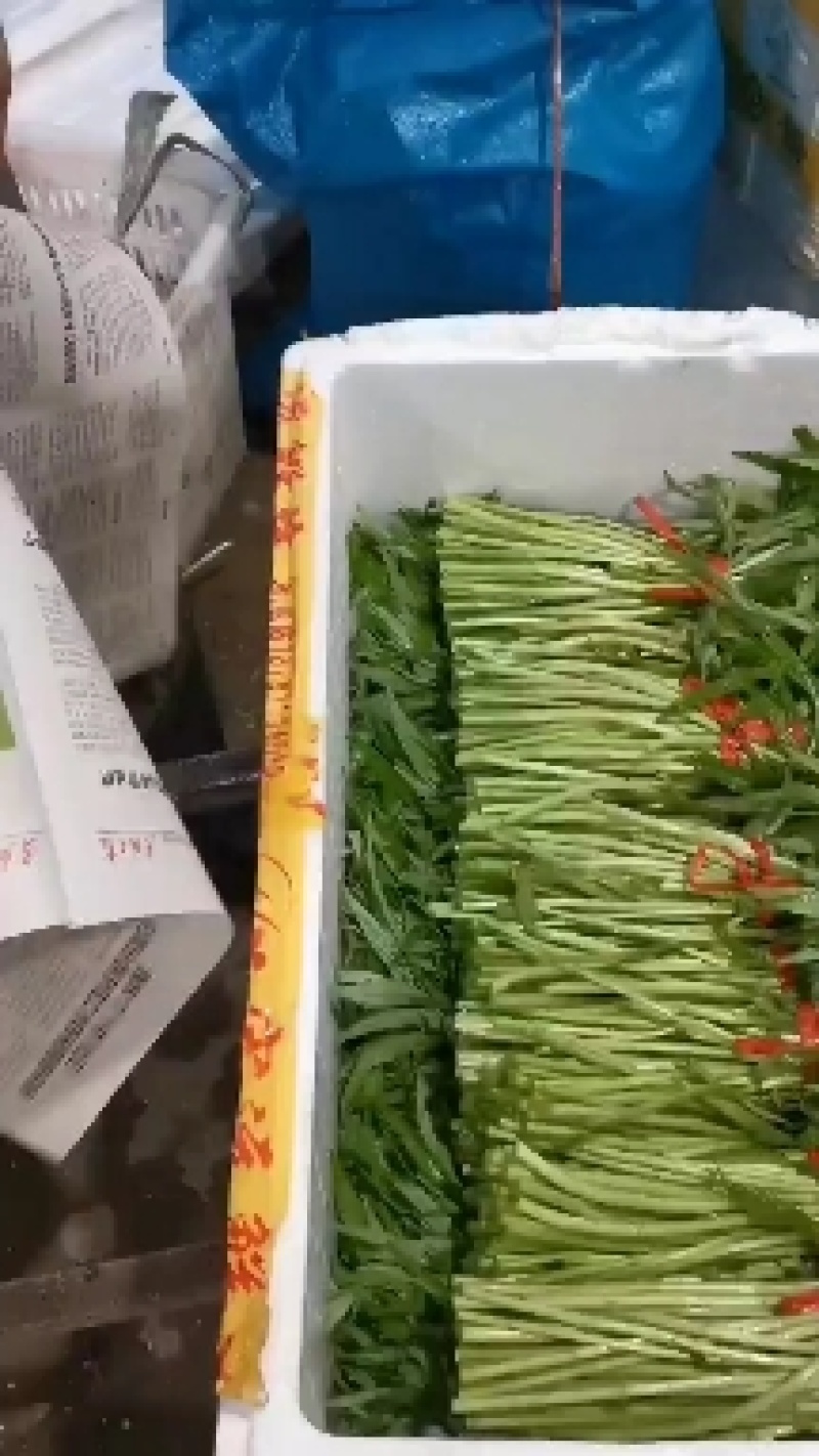 云梦县芦篙