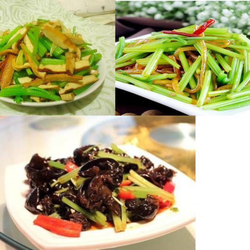 山东芹菜苗子秧苗四季种植西芹苗秋冬耐寒新苗