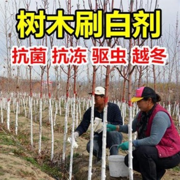 刷树粉果树刷白树木树干涂白剂涂白粉树木大树木涂白剂杀菌越