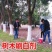 刷树粉果树刷白树木树干涂白剂涂白粉树木大树木涂白剂杀菌越