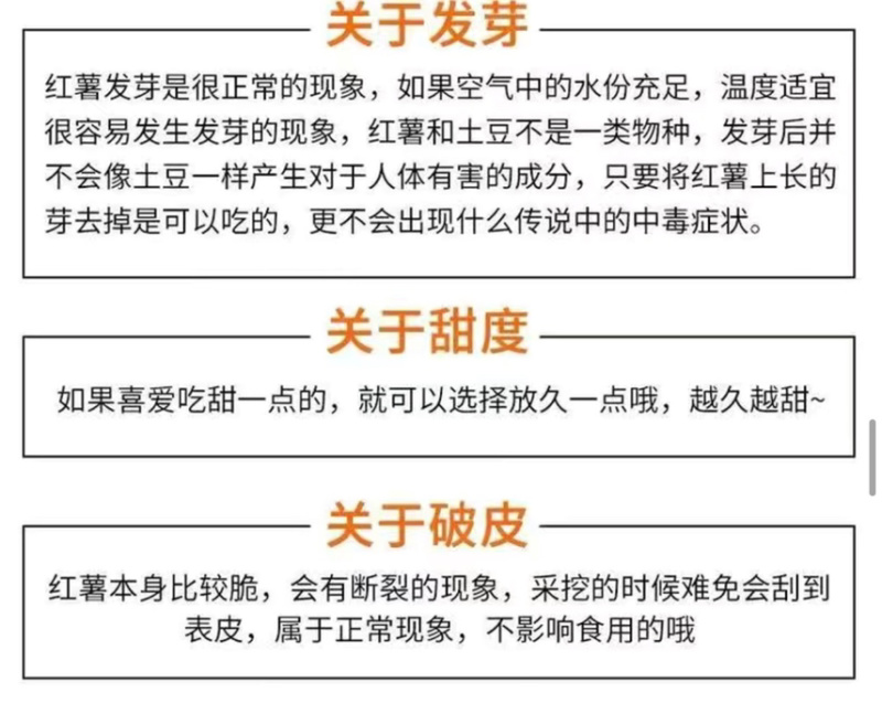 海南板栗薯高系鸣门金时一件代发可对接各社区平台渠道