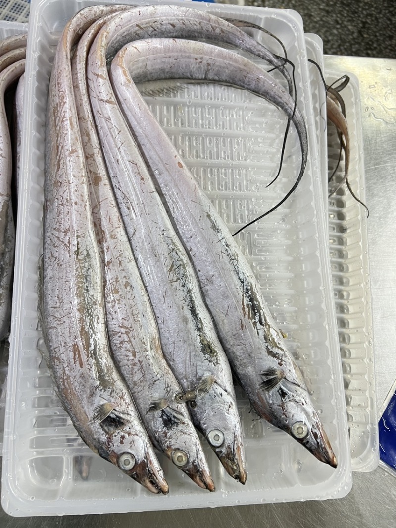 渤海湾刀鱼，2斤装，品质优良！