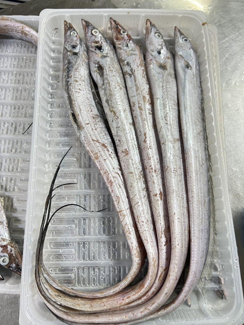 渤海湾刀鱼，2斤装，品质优良！