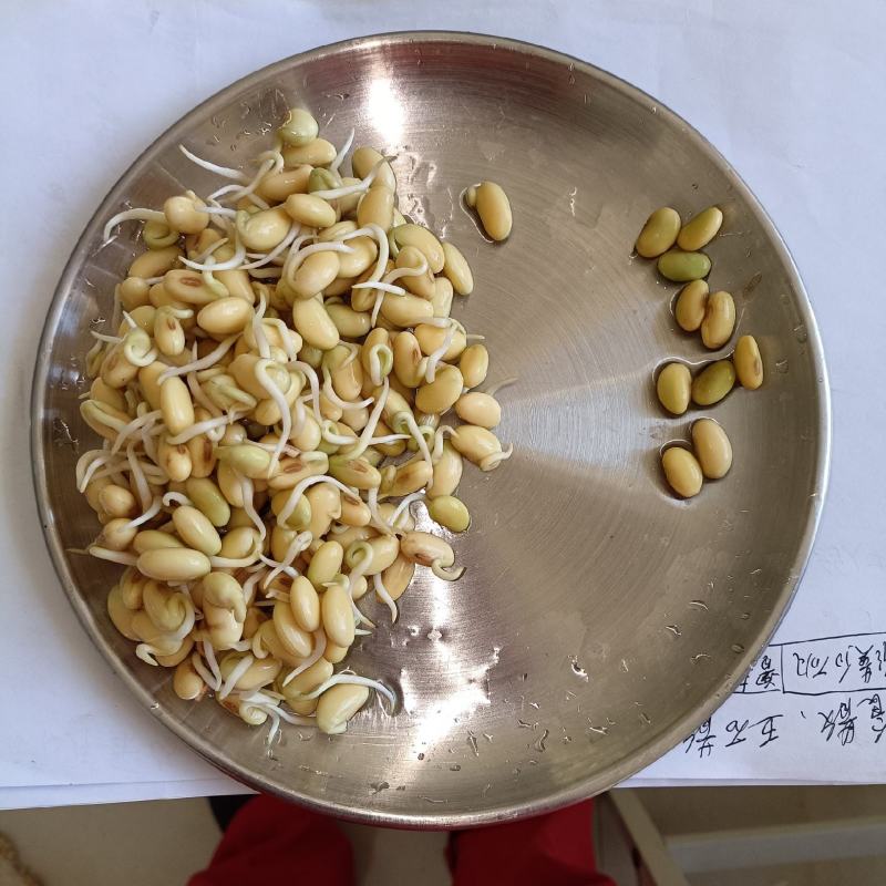 发芽率超过95%，没有石豆子，欢迎新老客户预订。包退包换
