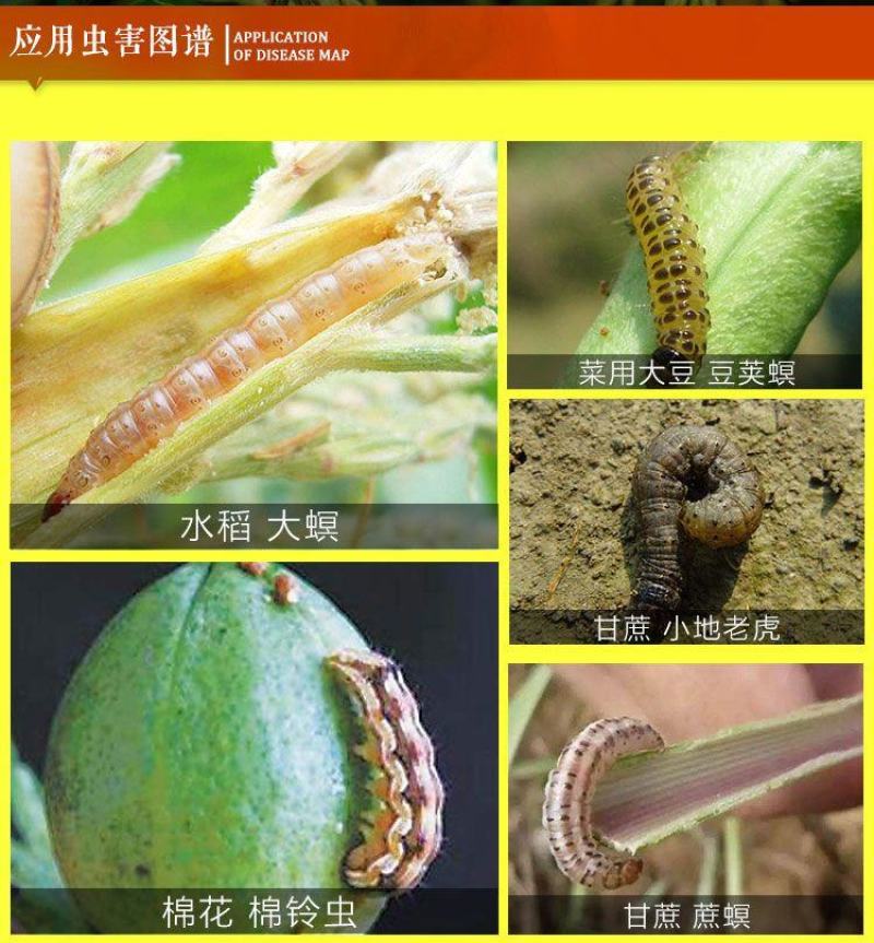 富美实康宽氯虫苯甲酰胺水稻玉米甘蔗螟虫蔗螟黏虫康宽杀