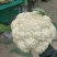 【实力】松花菜白面青梗有机花菜大量新鲜供应，对接全国商超