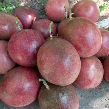 紫香百香果新鲜采摘应季水果社区团购市场果