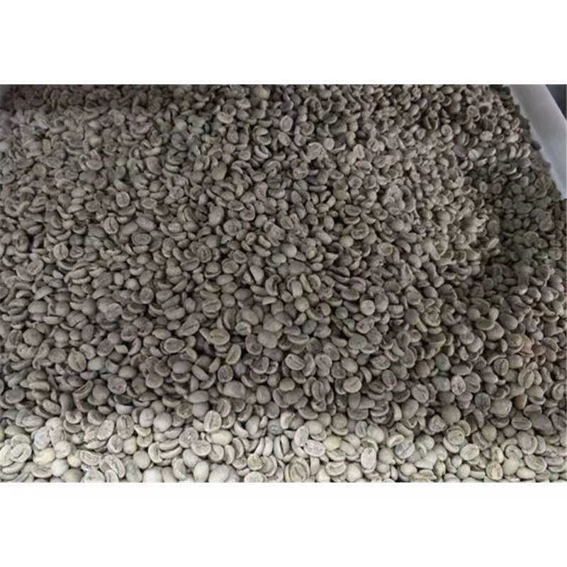 新采咖啡豆种子咖啡树种子日常饮用植物种子阳台观赏盆栽