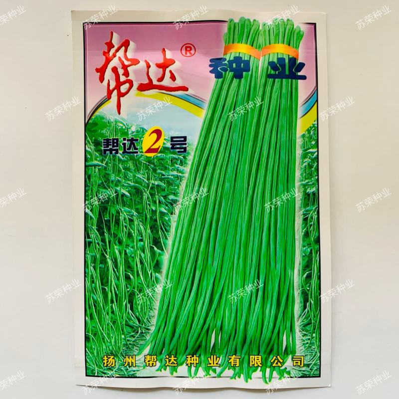 帮达二号长豇豆种子长豆角种子豇豆新品种耐高温适应性强