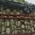 湖北精品京丰一号甘蓝产地直发大量现货，**京丰甘兰供应