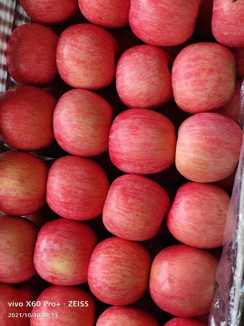 【苹果】山东红富士苹果产地口感脆甜多汁产地直供批发