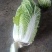 精品黄心大白菜