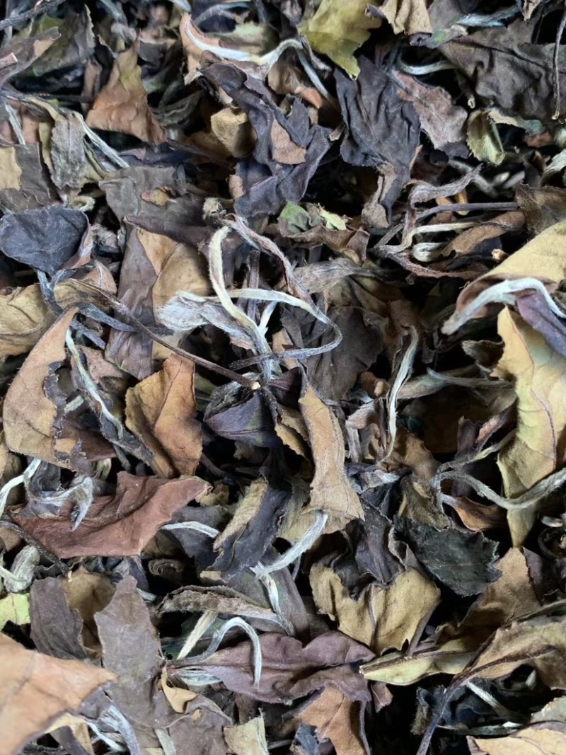大家好，我这边是生产福鼎白茶的厂家有需要福鼎白茶的联系我