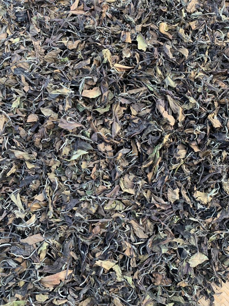 大家好，我这边是生产福鼎白茶的厂家有需要福鼎白茶的联系我