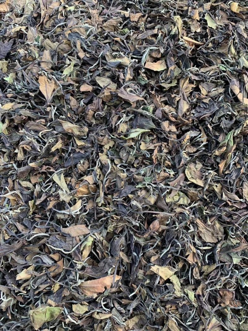 大家好，我这边是生产福鼎白茶的厂家有需要福鼎白茶的联系我