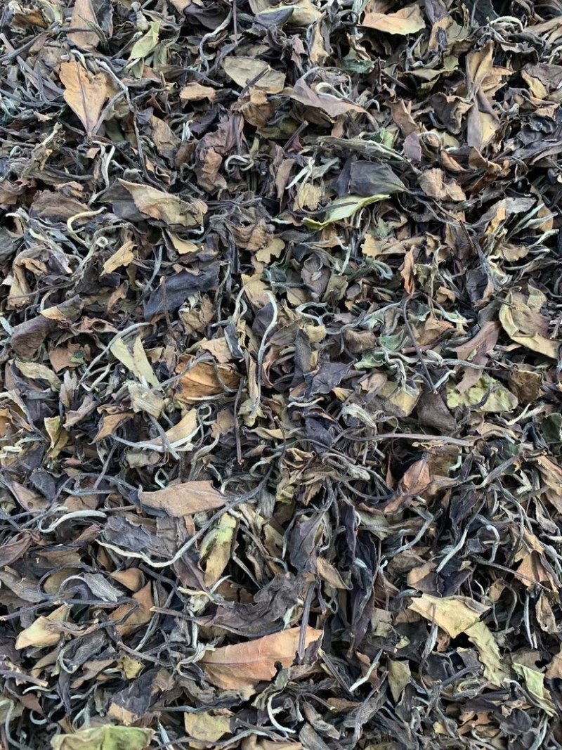 大家好，我这边是生产福鼎白茶的厂家有需要福鼎白茶的联系我