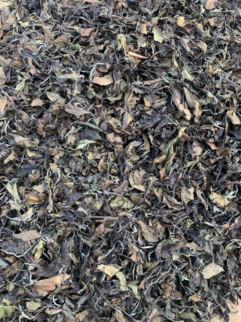 大家好，我这边是生产福鼎白茶的厂家有需要福鼎白茶的联系我