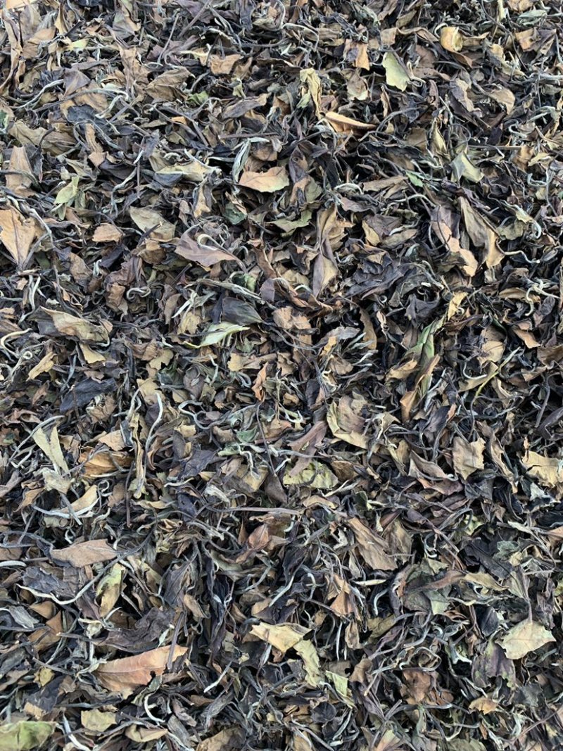 大家好，我这边是生产福鼎白茶的厂家有需要福鼎白茶的联系我